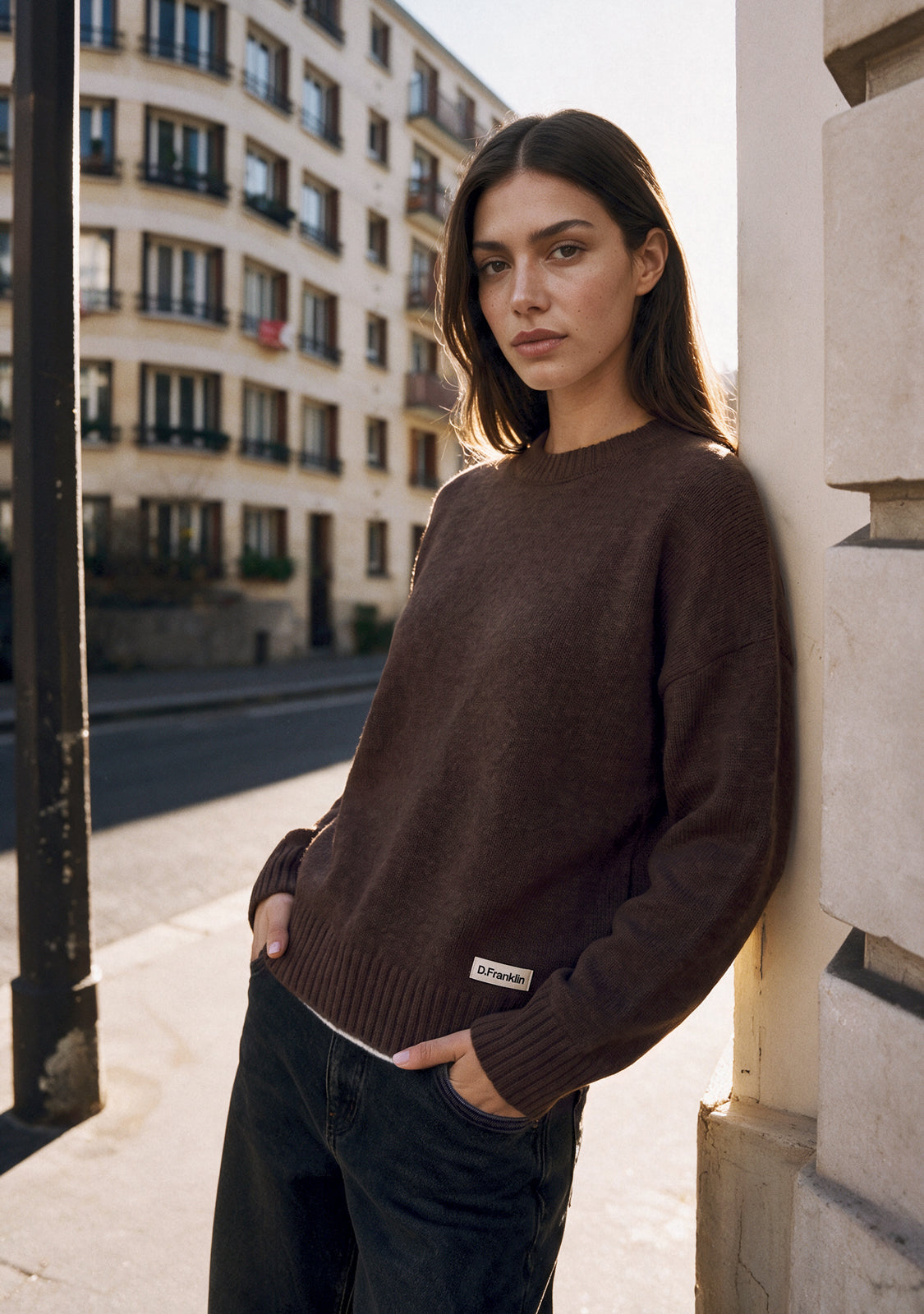 Brown Relaxed Crew Neck Knit Pullover