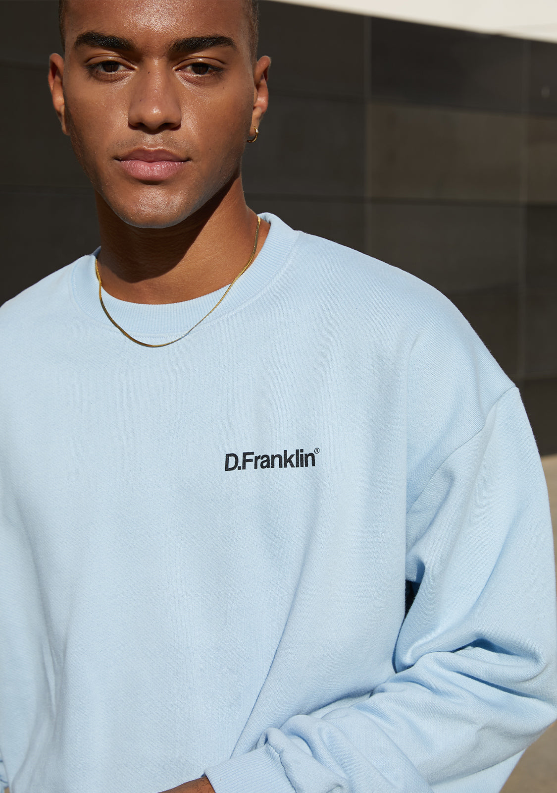 Sweatshirt Oversized D.Franklin Basic Blue
